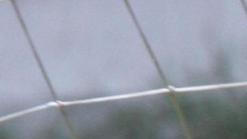 Oscar Pérez recibirá un homenaje a su trayectoria de más de 25 años.