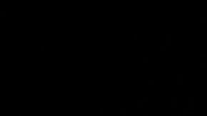 Lo que sí ha logrado la presidencia de Trump es definir posturas.