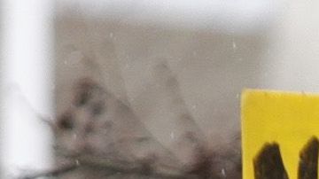 Las protestas anunciadas para hoy frente al centro se trasladarán a otro lugar.