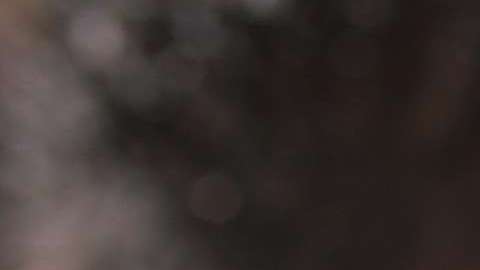 Las personas retenidas por 'La Migra' tienen derecho a audiencia.