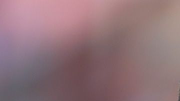 Gignac y Boy se dicen de todo