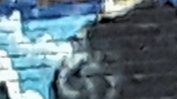 Grocery en donde asesinaron a Junior