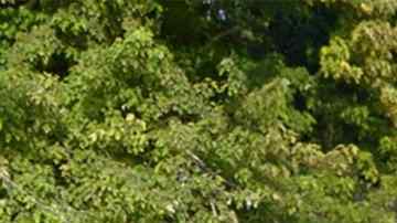 La casa de Sioux City, Iowa, donde supuestamente estaba retenida la joven víctima de dos detenidos por tráfico de seres humanos.