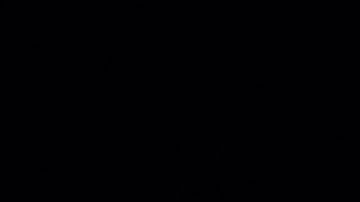 Guillermo del Toro, cineasta mexicano. / Foto: Agencia Reforma