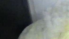 La droga estaba el interior de los osos de peluche.