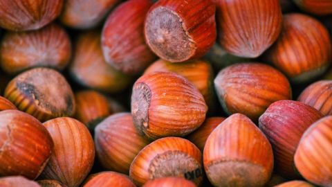 hazelnuts-3752184_1920