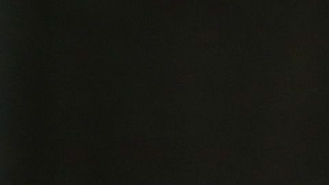 ¿Debe estar el Tri para cuándo él quiera jugar, o representar a tu país debe ser más importante?