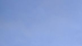 Trump salió en defensa del cofundador de la compañía diciendo que los que llamaban al boicot estaban enloquecidos.