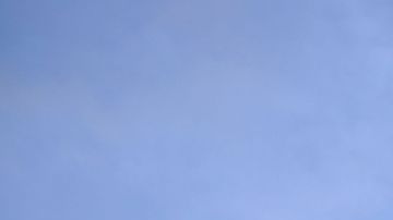 Trump salió en defensa del cofundador de la compañía diciendo que los que llamaban al boicot estaban enloquecidos.