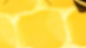 La miel tiene un poderoso efecto inhibidor de múltiples especies de bacterias, hongos y virus.