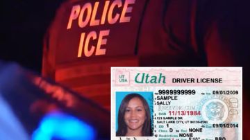 Utah es uno de los estados que autorizó a ICE revisar la base de datos de licencias.