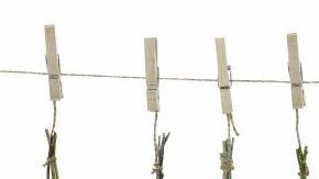 Esta original tisana actúa como limpiador natural, combatiendo la acidez y estimulando una correcta digestión.