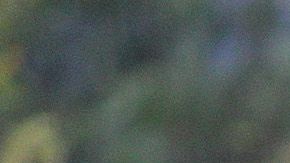 Leonel López fue cedido por un año al ‘ave’