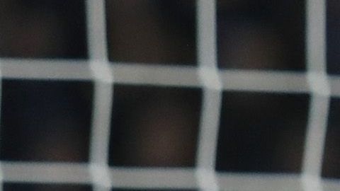Darío Benedetto debutará en Europa con el Olympique de Marsella.