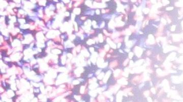 Liga Mexicana del Pacífico armará tremenda fiesta en Arizona.