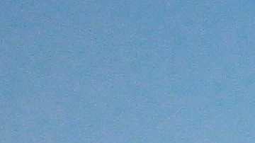 Caixinha ha ganado los cuatro títulos del futbol mexicano.