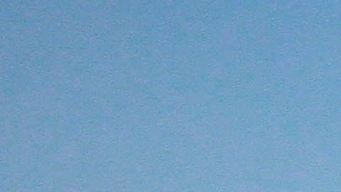 Caixinha ha ganado los cuatro títulos del futbol mexicano.