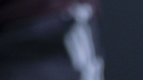 Edson Álvarez se convirtió en el primer mexicano en el Ajax de Holanda.