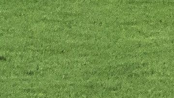 América consigue su sexto trofeo como Campeón de Campeones