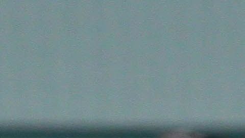 Los 5 fichajes que hay que seguir de cerca en la Liga MX.