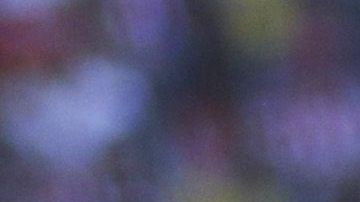 Pumas jugó con cinco mediocampistas y un delantero.