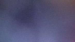 ¿Quién será el consentido de la Ligue 1?