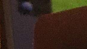 En la página web de USCIS puede conocer detalles sobre sus trámites.