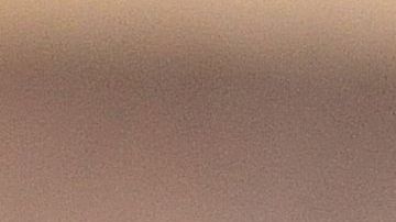 El consumo de este licuado acelera la pérdida de peso y es ideal para personas que padecen estreñimiento.