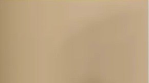 Jacob Schwartz en 2017