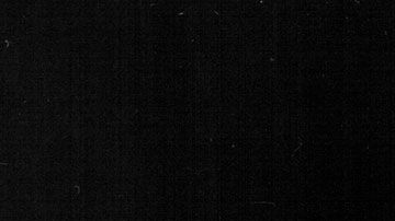 Algunos presidentes ya gozaban de las mieles del éxito financiero antes de ocupar el puesto.