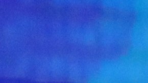 Kamala Harris avanzó en preferencias electorales tras debate demócrata, a diferencia de Julián Castro.