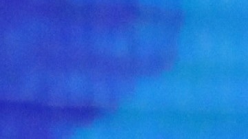 Kamala Harris avanzó en preferencias electorales tras debate demócrata, a diferencia de Julián Castro.