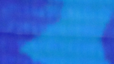 Kamala Harris avanzó en preferencias electorales tras debate demócrata, a diferencia de Julián Castro.
