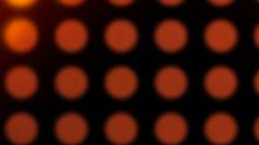 "La Voz" tendrá una segunda temporada en Telemundo