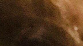 Las toallas creadas por este grupo son de tela 100% de algodón y bambú orgánico como absorbente.