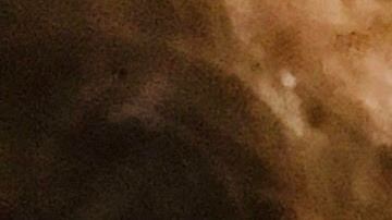 Las toallas creadas por este grupo son de tela 100% de algodón y bambú orgánico como absorbente.