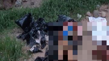 Matapulco rebautizan a Acapulco por violencia en el puerto turistico