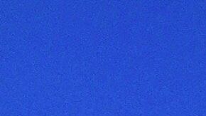 trigo