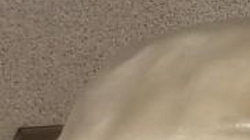 Los fardos estaban ocultos en un Volkswagen blanco.