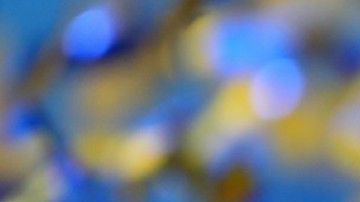 La sede para el siguiente mundial la anunciará la FIFA en mayo de 2020