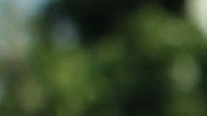 Naasón Joaquín García, líder de La Luz del Mundo.