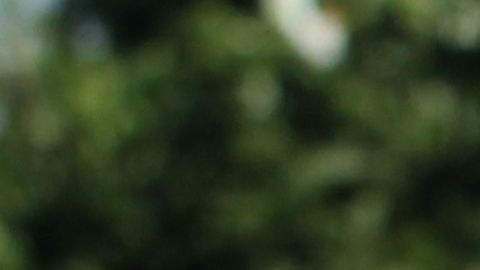 Naasón Joaquín García, líder de La Luz del Mundo.