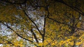 154 W. 84th Street, UWS