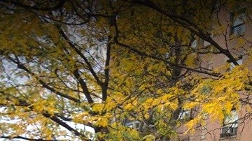 154 W. 84th Street, UWS