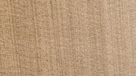 Obama parece disfrutar y vivir con emoción el título obtenido por la selección femenil