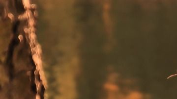 Ten en cuenta los riesgos de que tu mejor amigo se convierta en tu pareja.