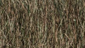 En algunos de estos países la esperanza de vida no llega ni a los 60 años.