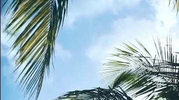 Sol y bajos impuestos en Florida