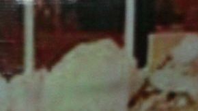 Carlos Salinas de Gortari y Enrieque Peña Nieto.