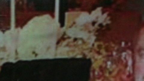 Carlos Salinas de Gortari y Enrieque Peña Nieto.